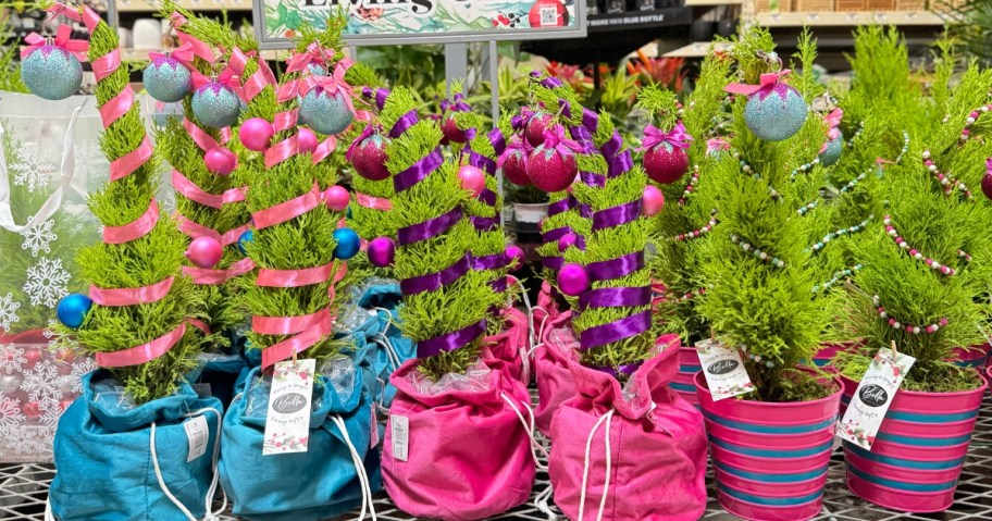 mini Christmas trees that look like the Grinch's tree with pink, blue and purple decorations sitting on a garden center table at home Depot