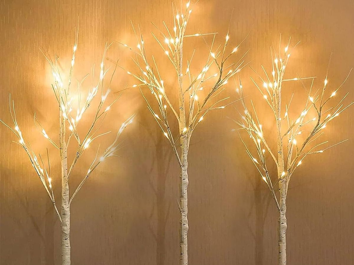 Birch Branches with Berries & White LED Lights, Hobby Lobby