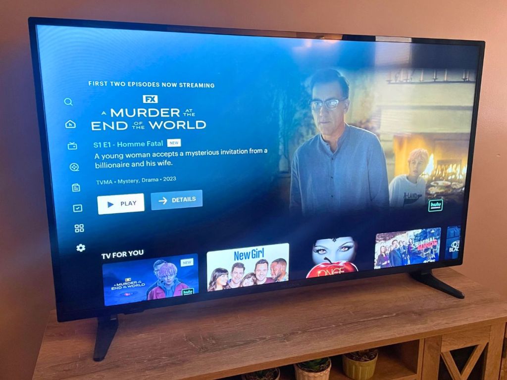 Hulu on TV in living room