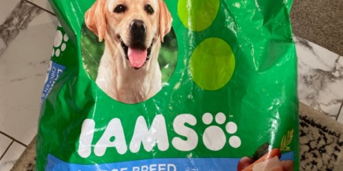 IAMS Dry Dog Food 30lb Bag Only $21 Shipped on Amazon (Regularly $46)