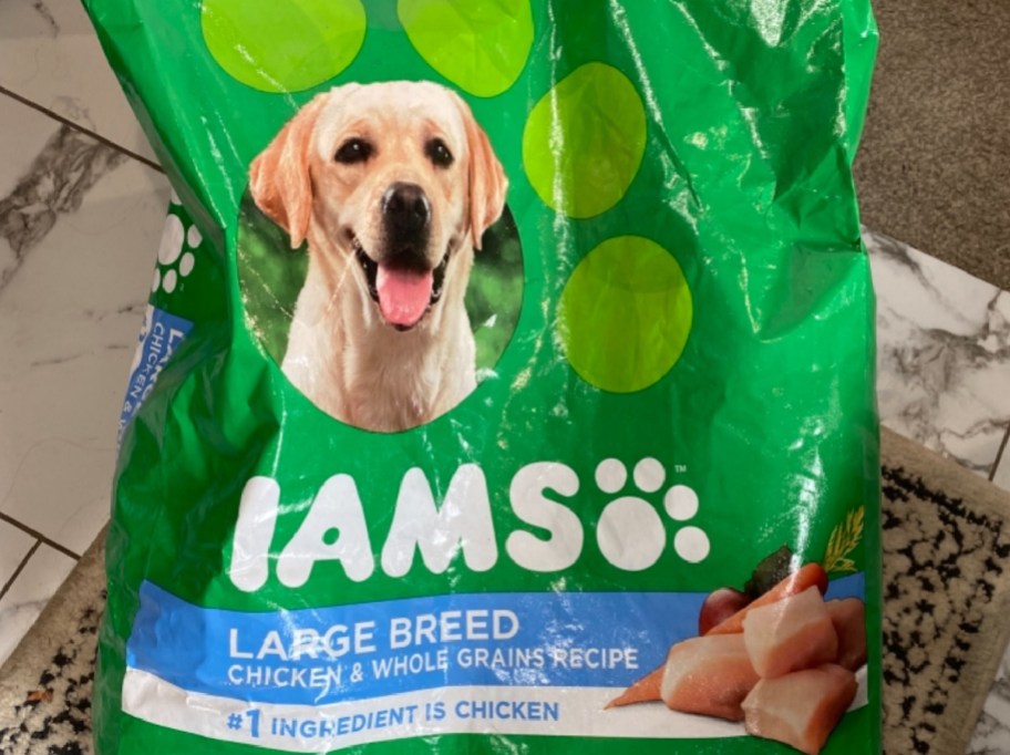 IAMS Dog food bag displayed on the floor