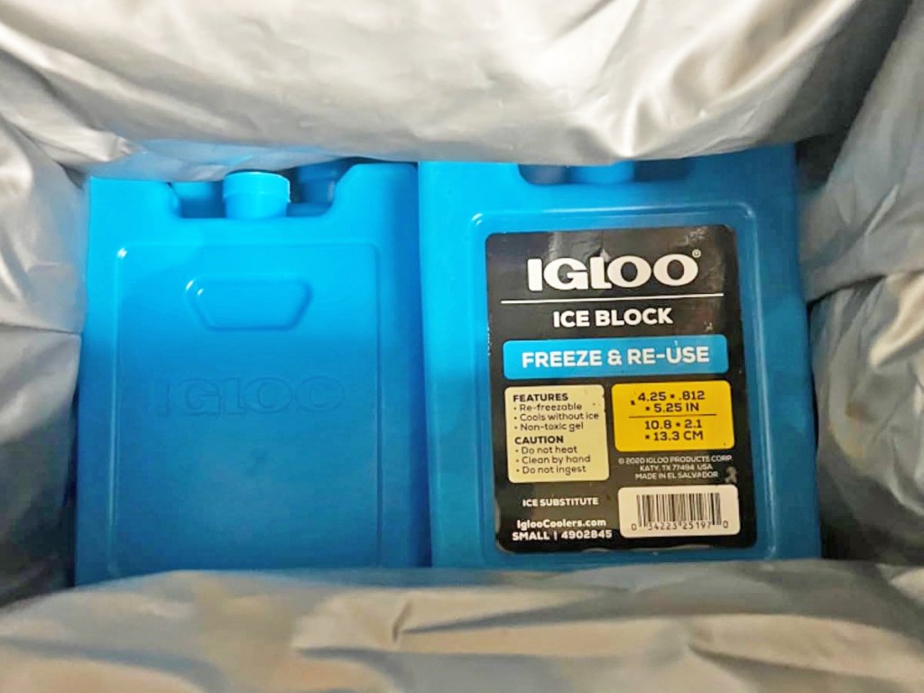 two blue igloo ice blocks at bottom of lunch box