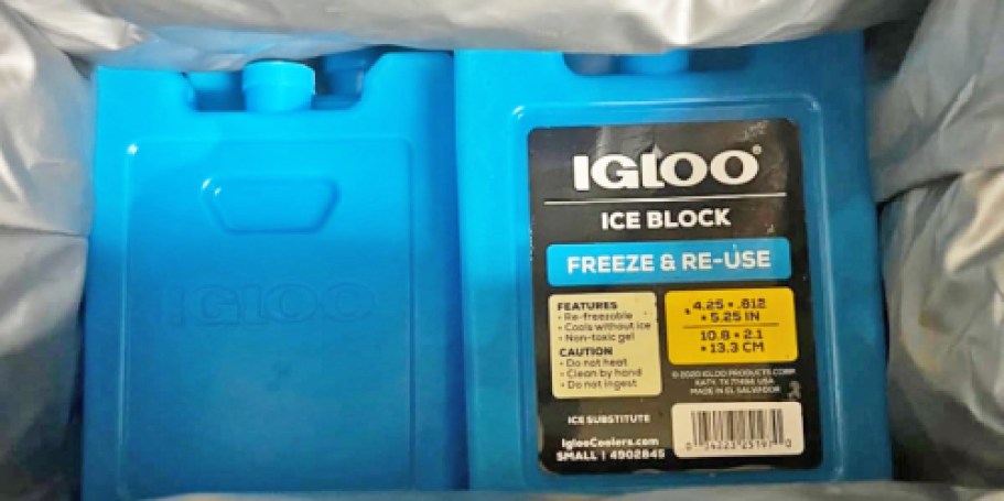 Igloo Reusable Ice Block Just 98¢ on Amazon (Perfect for Work & School Lunches!)