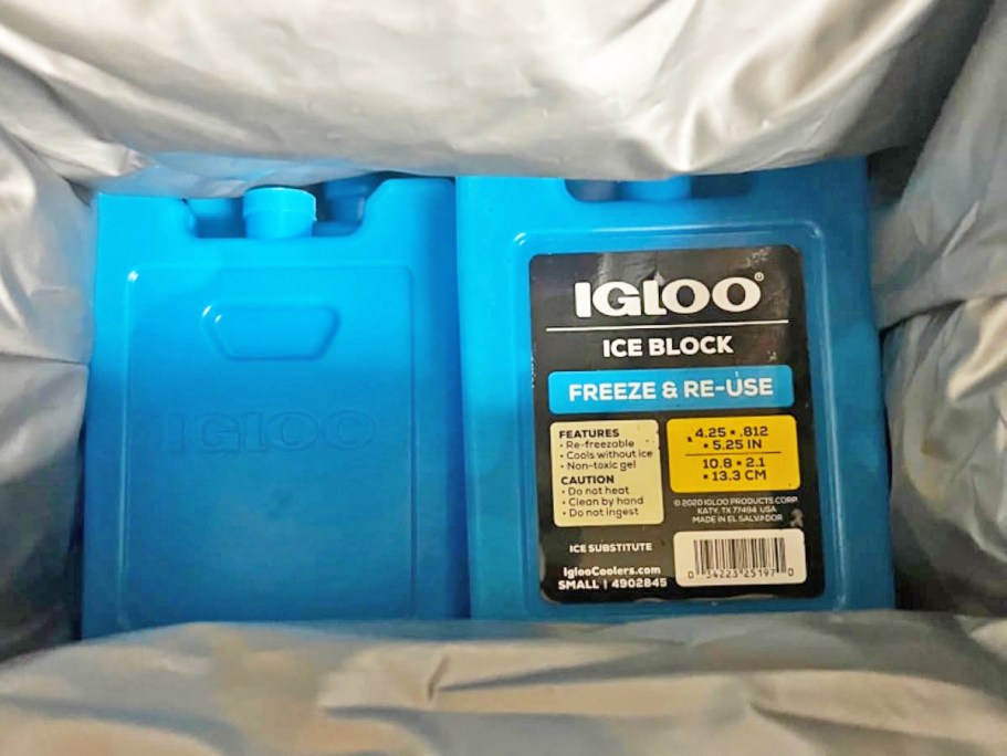 Igloo Reusable Ice Block Just 98¢ on Amazon (Perfect for Work & School Lunches!)