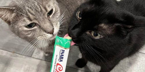 Inaba Lickable Cat Treats 40-Count Box Only $13 Shipped on Amazon (Just 33¢ Each)