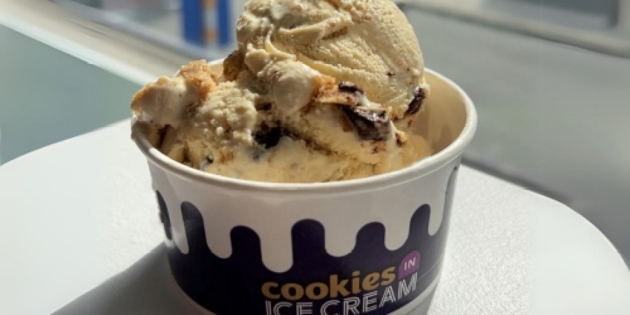 FREE Scoop of Insomnia Cookies Ice Cream on June 20th!