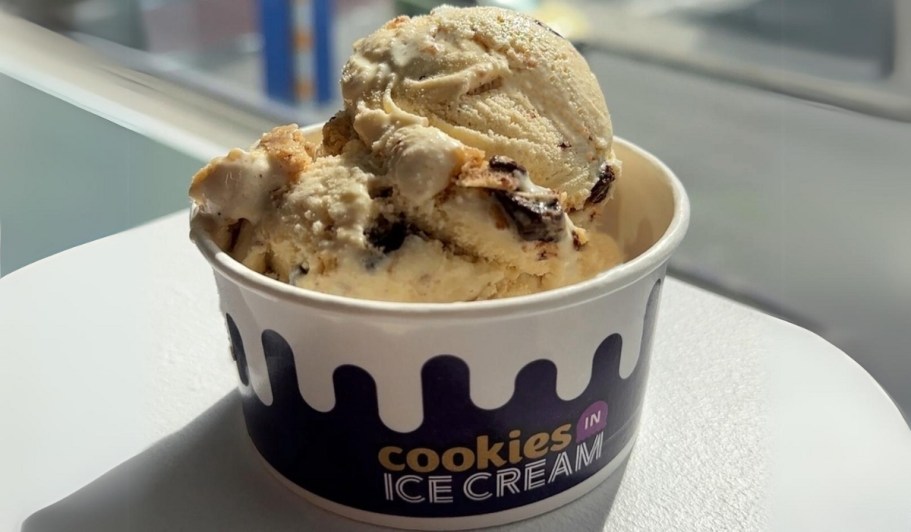 FREE Scoop of Insomnia Cookies Ice Cream on June 20th!