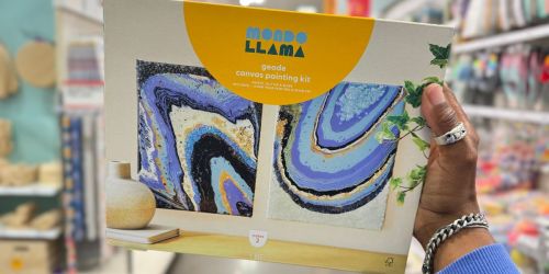 NEW Mondo Llama Craft Kits Only $15 on Target.com