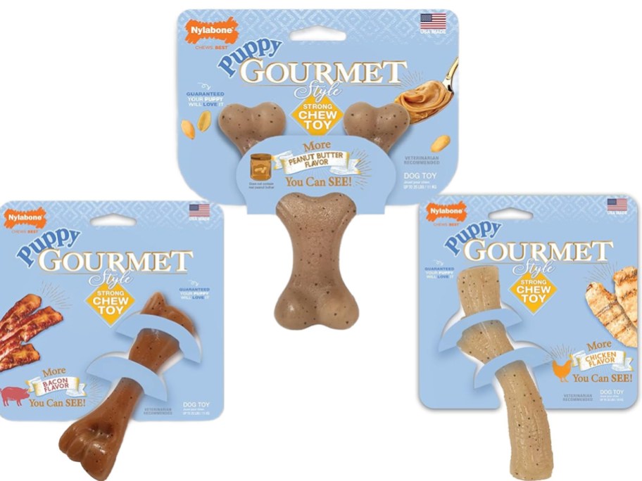 Stock images of 3 Nylabone Gourmet puppy toys