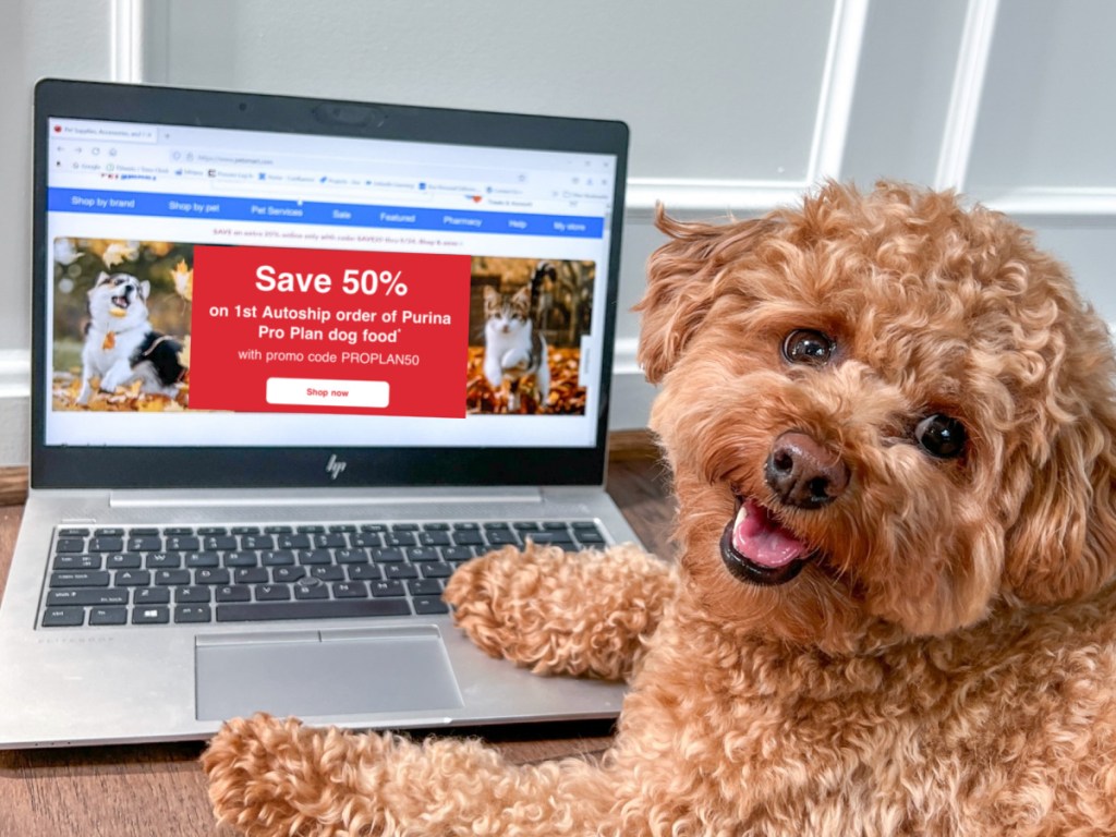 dog by laptop with 50% off purina sale