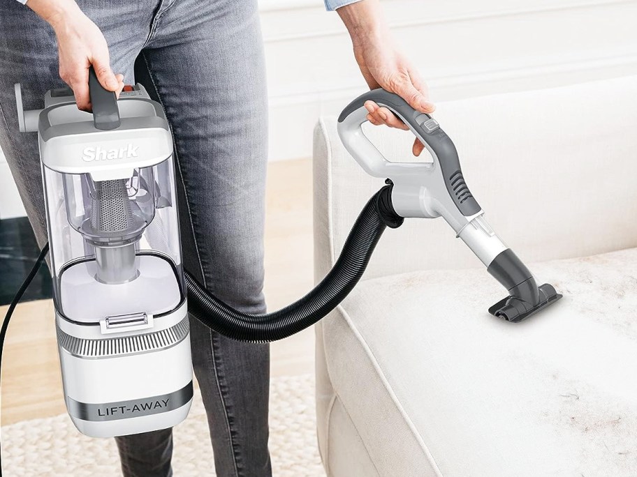 cleaning pet hair off couch with vacuum