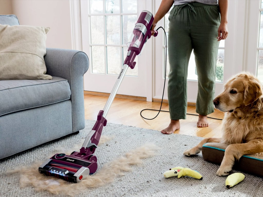 woman using shark vacuum to clean up dog fur on carpet