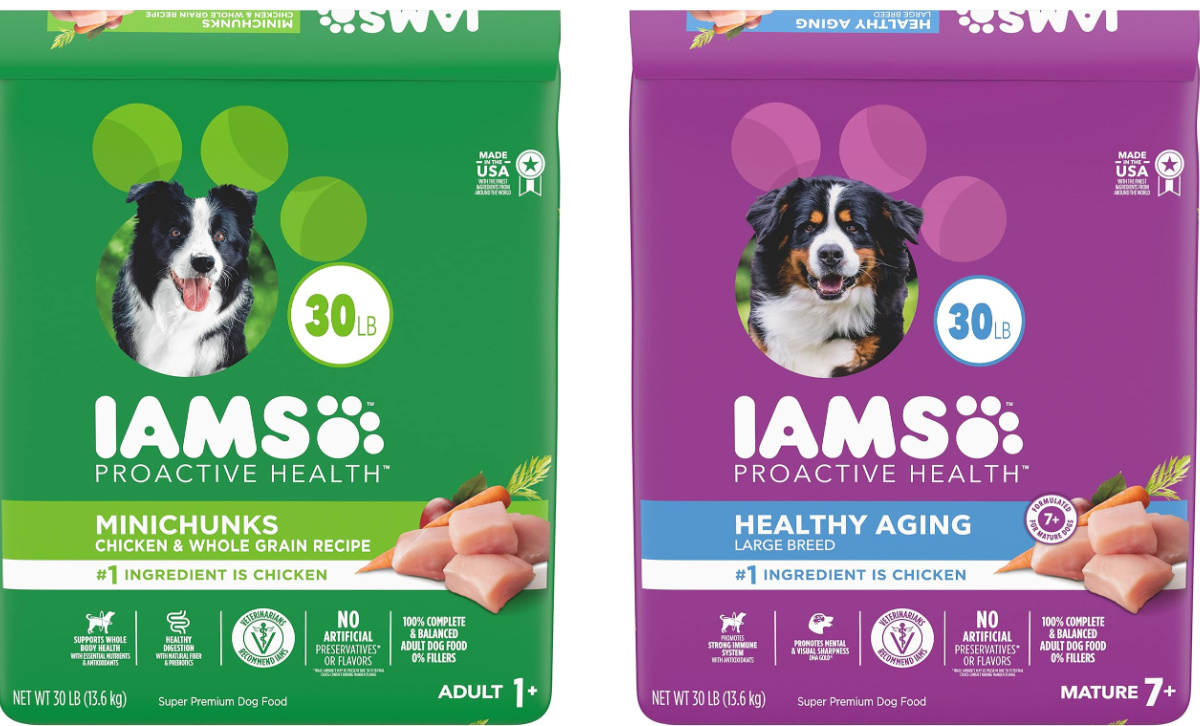 Iams dog food offers best sale