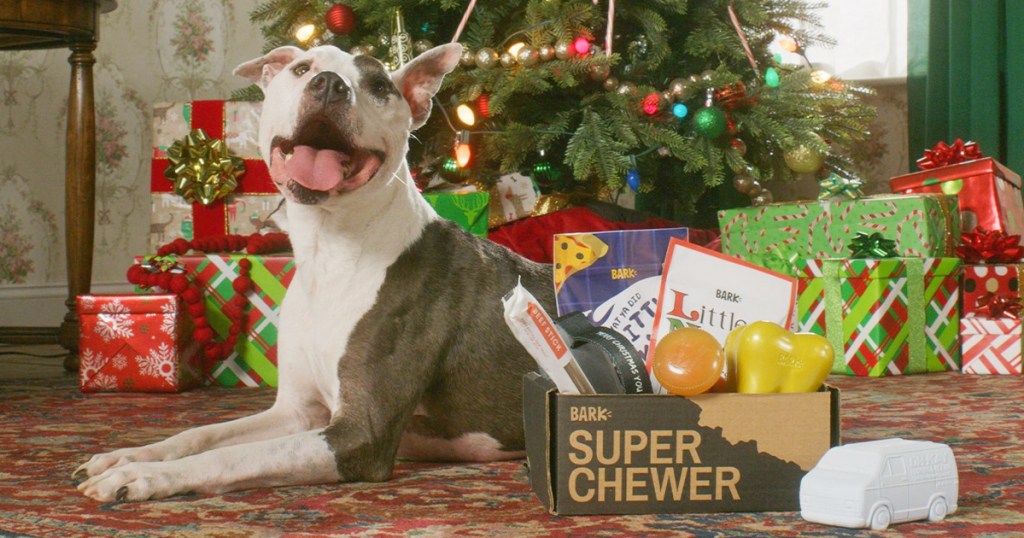 dog laying in front of christmas tree with super chewer box