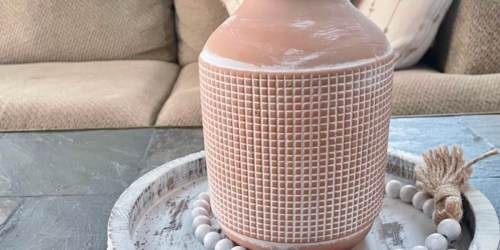 Terracotta Decorative Vase ONLY $12.79 on Amazon (Reg. $33) | Fill w/ Pine Branches or Pampas Grass