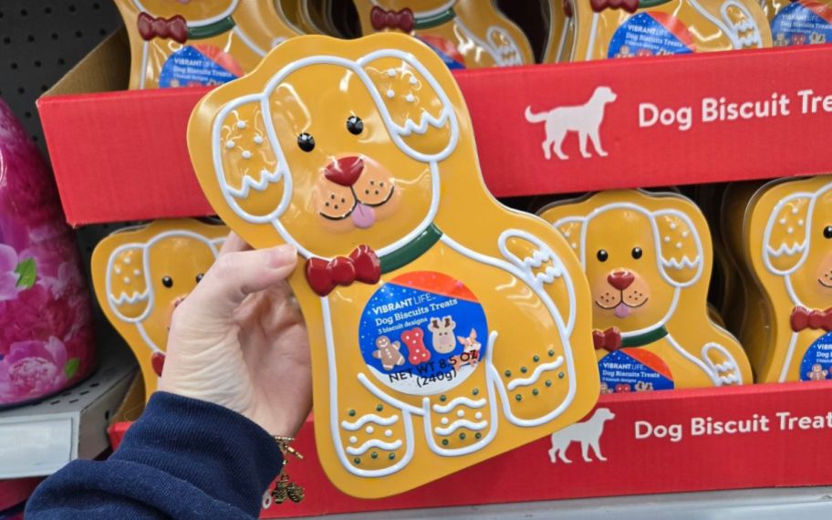 hand holding Vibrant Life Brand Peanut Butter Flavor Crunchy Holiday Biscuit Treat for Dogs