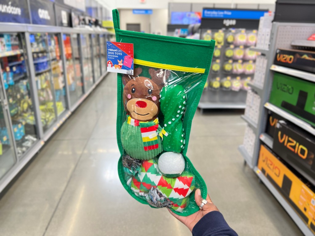 Vibrant Life Dog Toy Stocking from Walmart