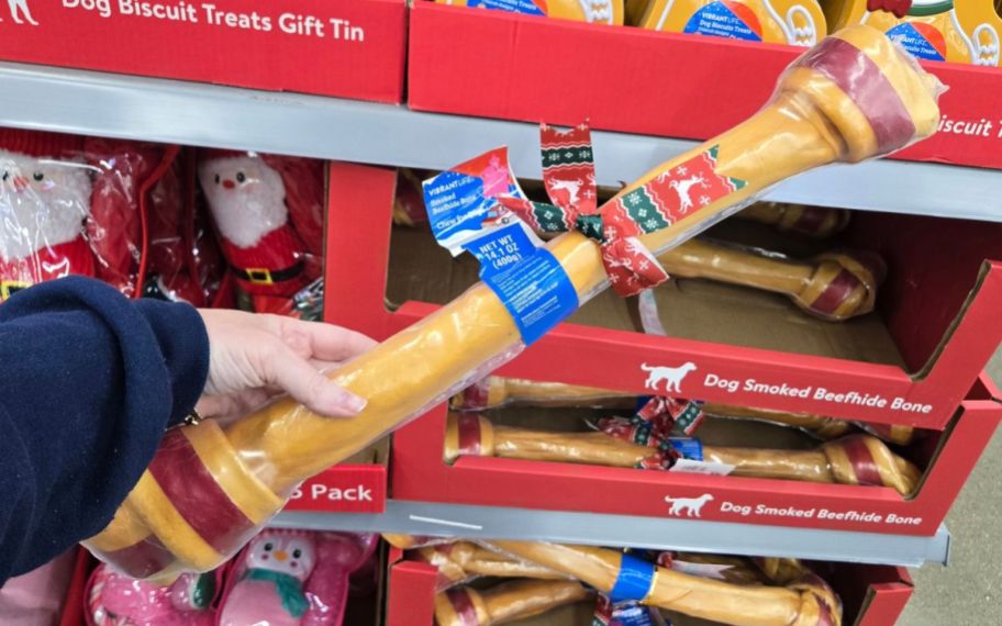 hand holding Vibrant Life Holiday Chew for Dogs - Giant Knotted Smoked Beefhide Bone