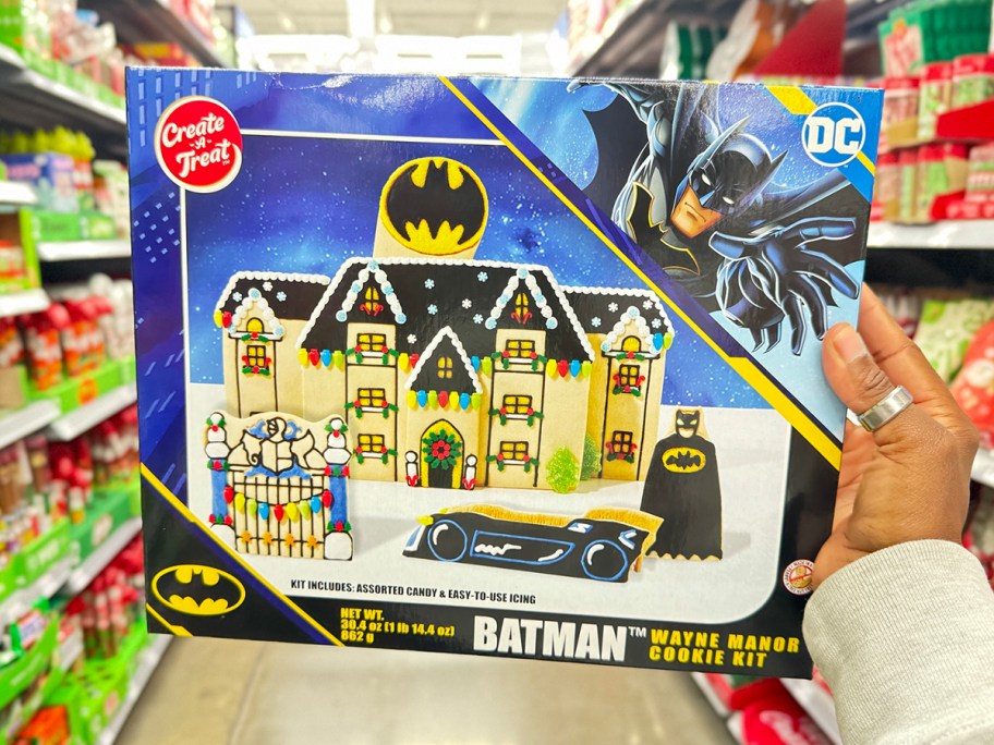 hand holding batman cookie kit 