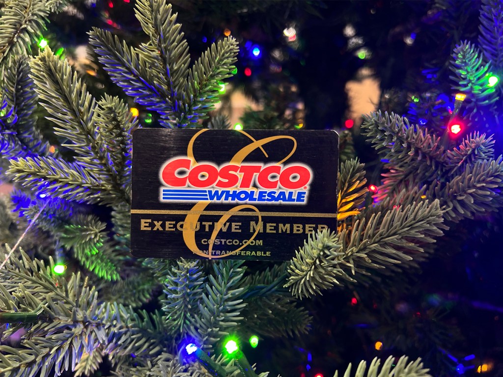 costco executive card sitting in christmas tree