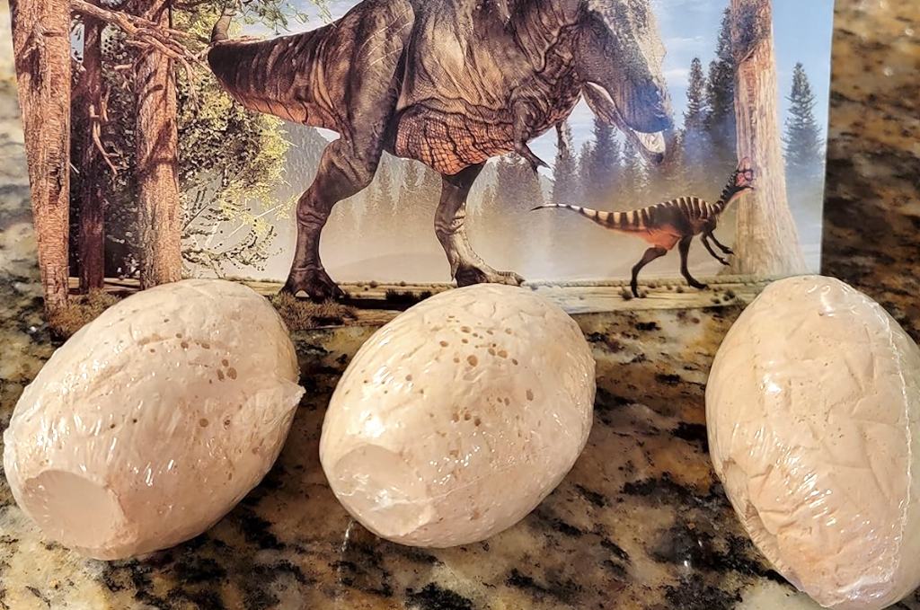 Dinosaur fossil eggs 