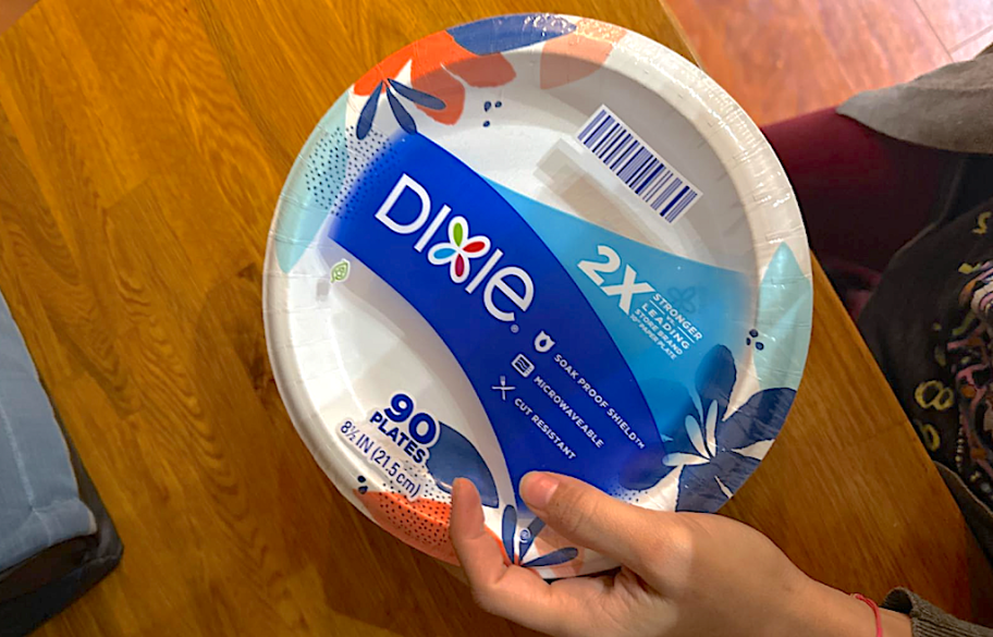 dixie paper plates in hand