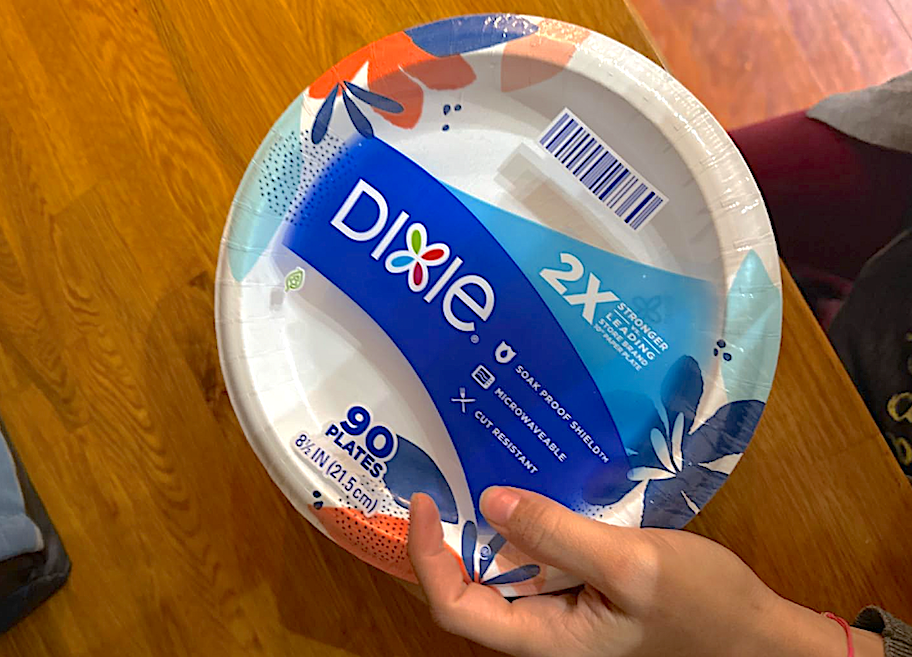dixie paper plates in hand