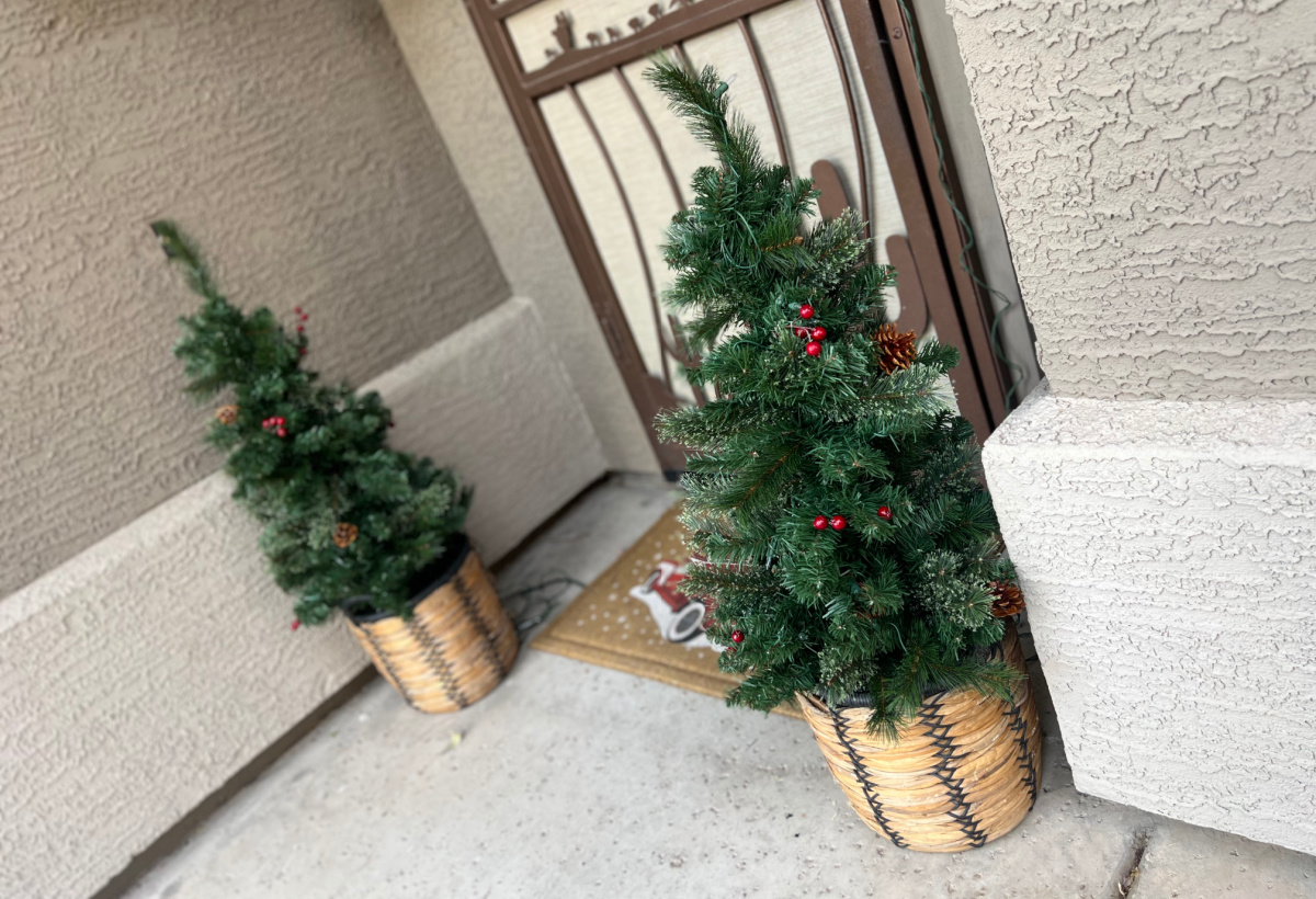 two lowes potted christmas trees outside a house door