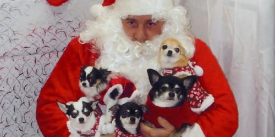 FREE Pet Photos w/ Santa at Petco on 12/6