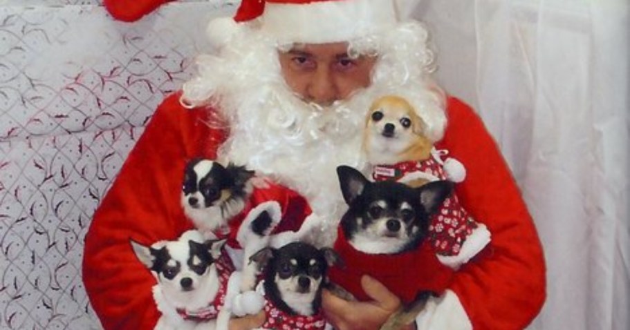 FREE Pet Photos w/ Santa at Petco on 12/6