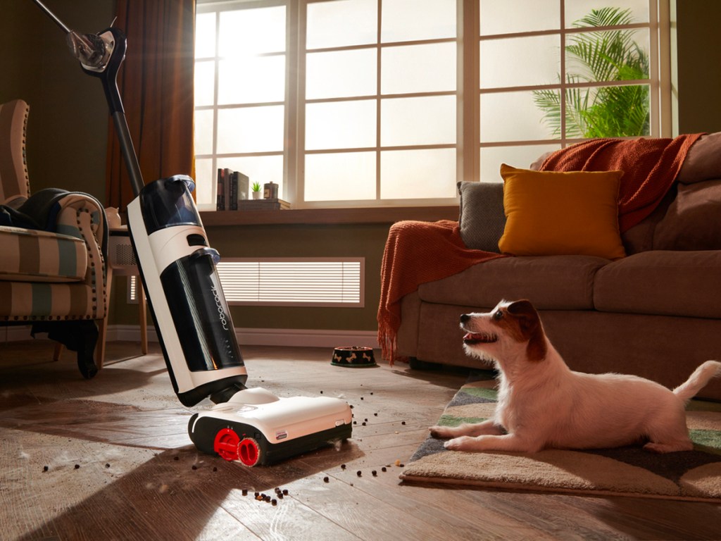 roborock vacuum cleaning up dirt and food off floor next to dog