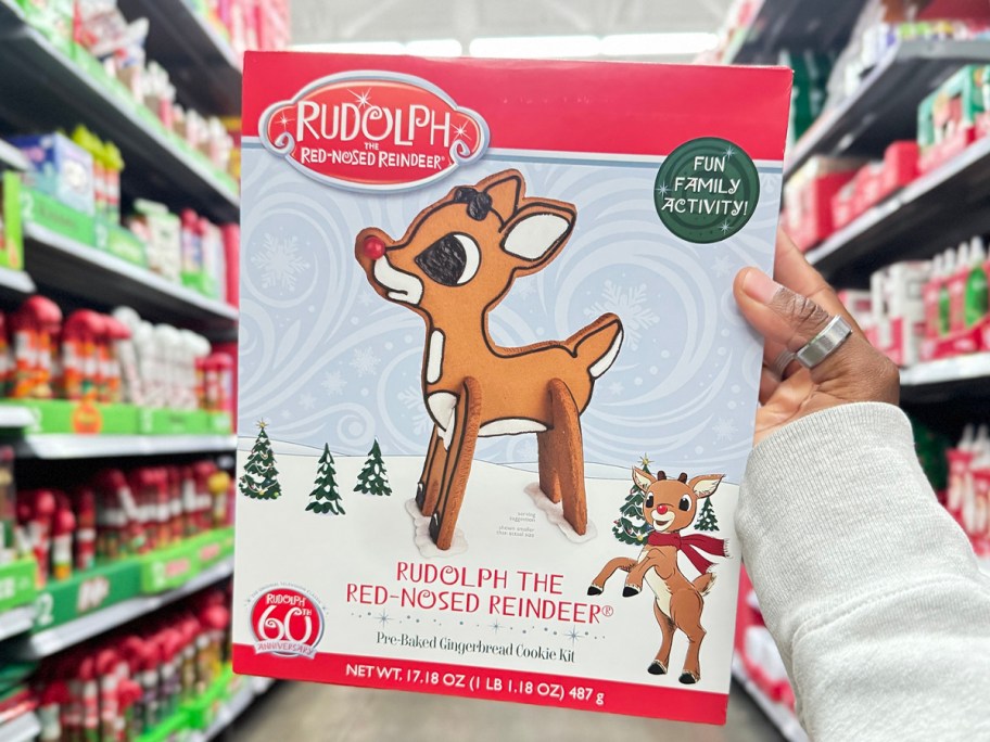 hand holding rudolph cookie kit 