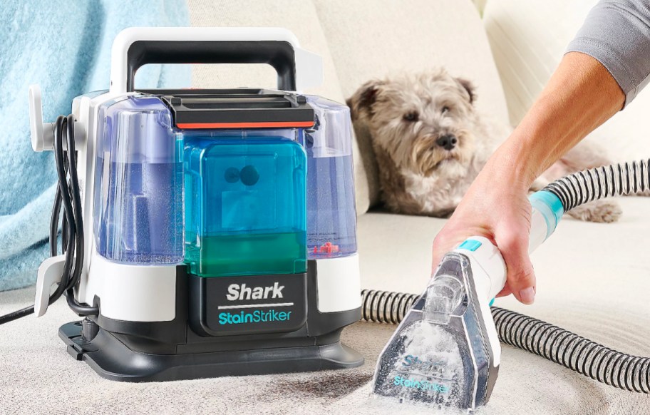 hand using shark stainfighter vacuum to clean rug with dog in background