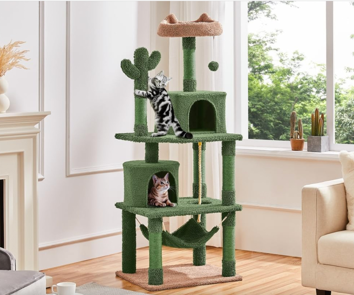 cats playing on multi level cactus cat tree