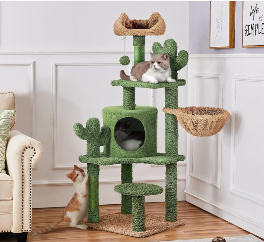 multi level cactus cat tree 