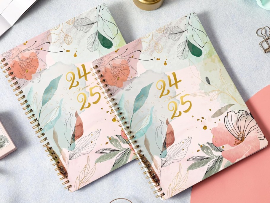 Colorful 2024-2025 planner notebook