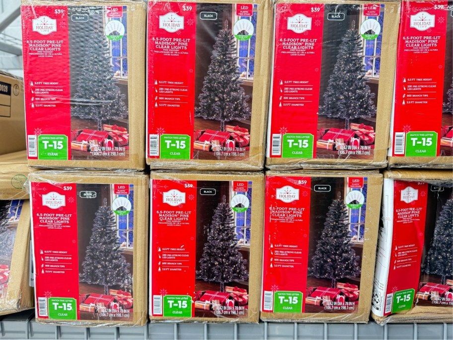 boxes of black Christmas trees on a shelf