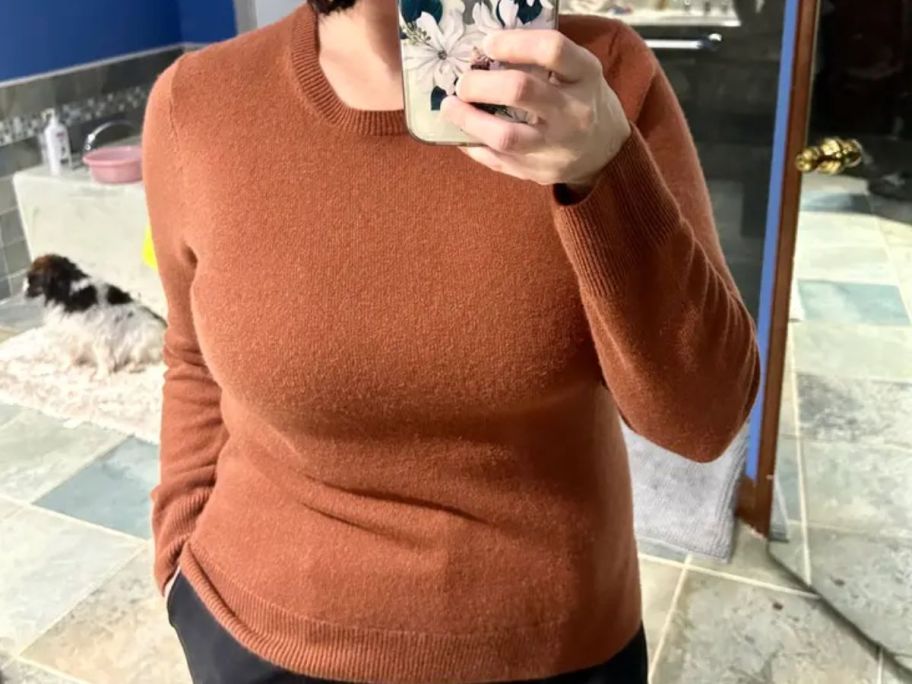 Quince's Women's Cashmere Crewneck Sweater in chestnut