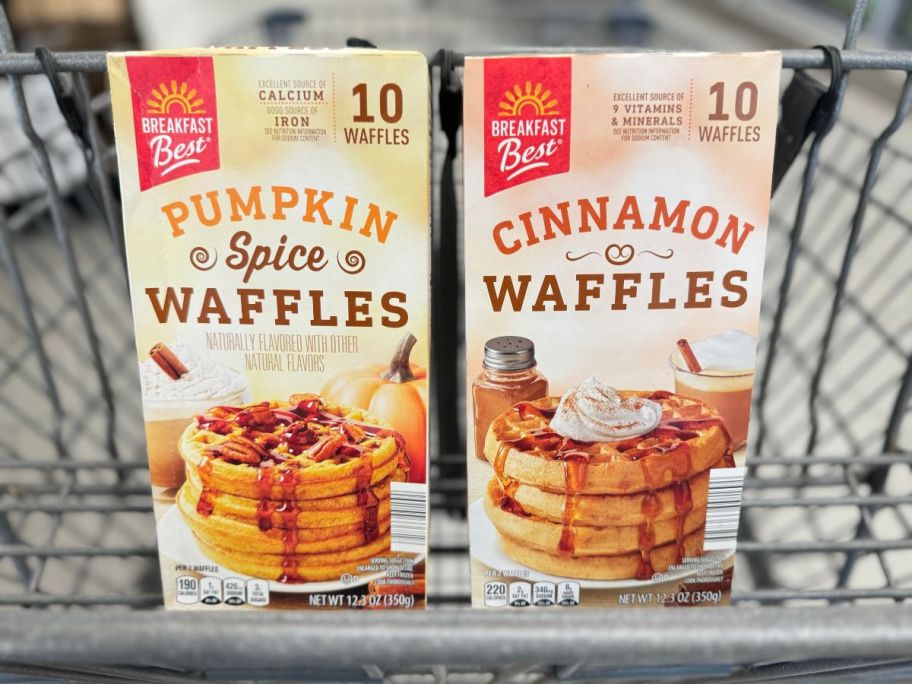 Aldi Pumpkin and Cinnamon Waffles