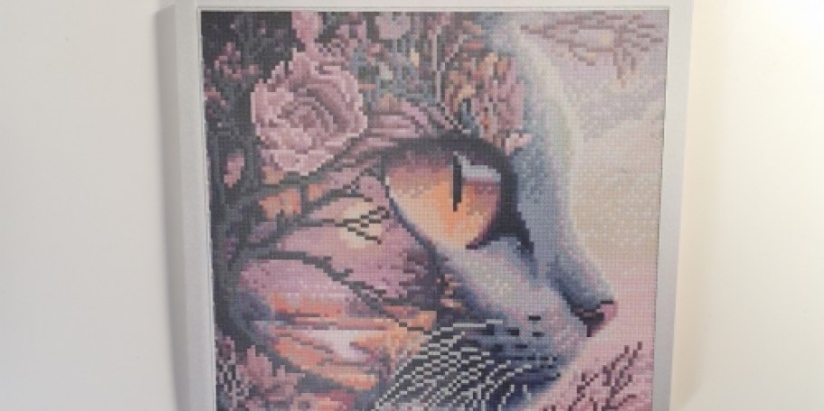 Diamond Art Painting Kit Only $3.99 on Amazon (Over 30 Options!)