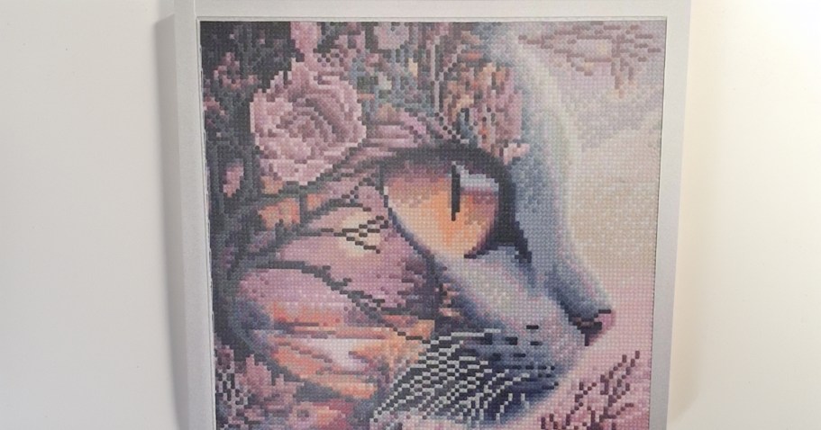 Diamond Art Painting Kit Only $3.99 on Amazon (Over 30 Options!)