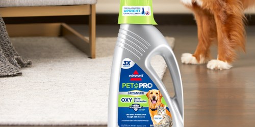Bissell Pet Stain & Odor Remover Solution 50oz Bottle Only $9.89 on Walmart.com (Reg $24)