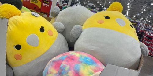 TWO Large Squishmallows Only $23.98 at Costco – Just $11.99 Each!