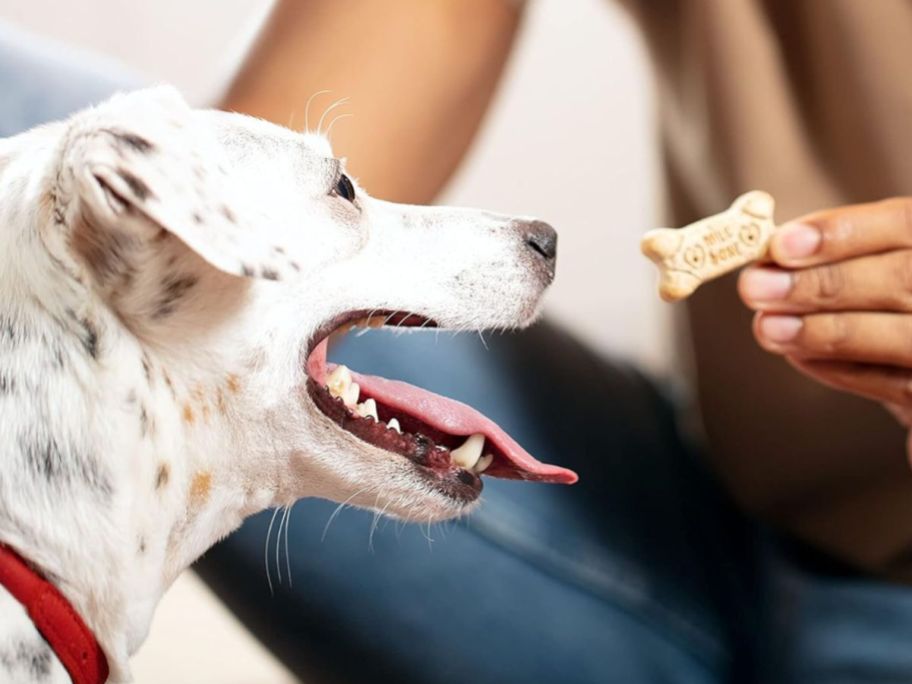 A person giving a dog a Milk-Bone dog treat