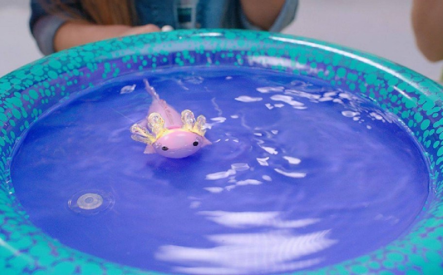 Fingerlings Interactive Baby Axolotl inside of a pool