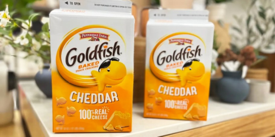 FOUR Goldfish Crackers Cartons Only $23.74 Shipped on Amazon (Just $5.93 Each)