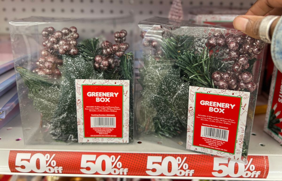 Greenery Box at five below in the christmas clearance section