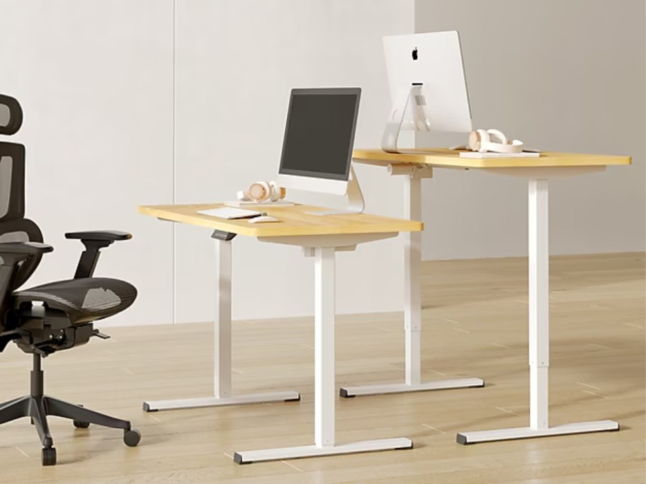 two standing desks, one regular desk height, one standing height with chairs and computers