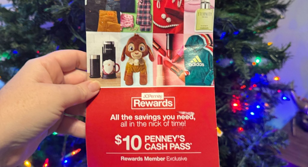 JCPenney rewards in woman's hand in front of a tree