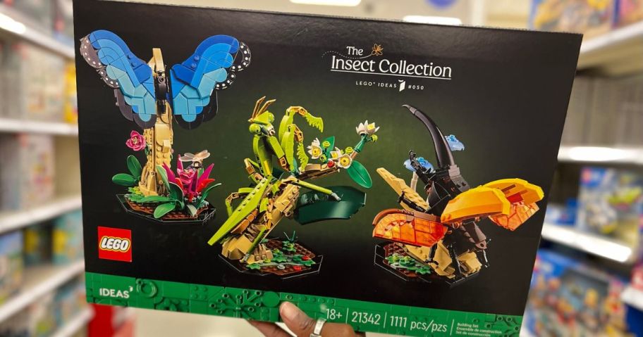 Hand holding up the box for the LEGO insect collection